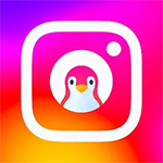 انستقرام البطريق Bt Insta وتحميل انستا البطريق اخر اصدار مجاناً